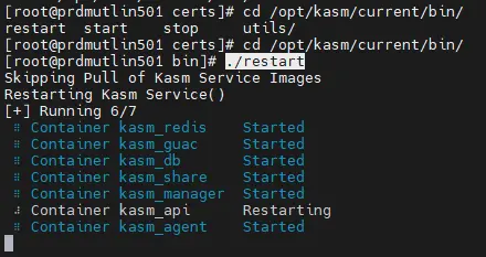 Redemarrage de Kasm