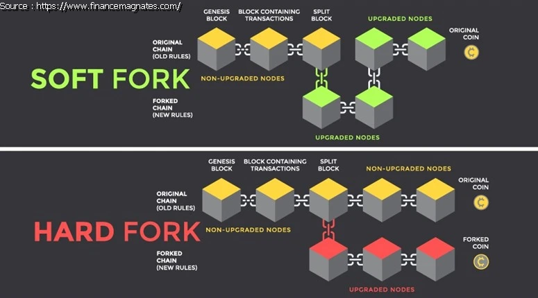 Soft Fork VS Hard Fork : source: https://www.financemagnates.com/cryptocurrency/education-centre/soft-fork-vs-hard-fork-what-are-the-differences/