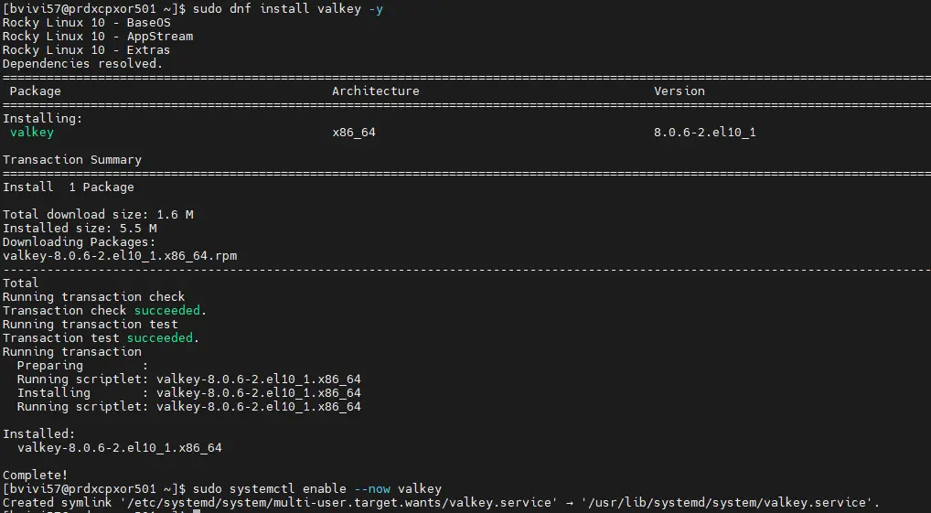 Installation de Valkey